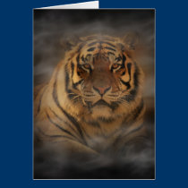 Tiger Card cards