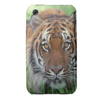 Tiger Case-Mate iPhone 3 Case