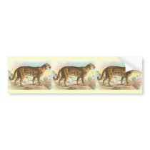 Tiger-Cat bumper stickers