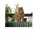 tiger cat T-shirt by stregatto tiger cat T-shirt