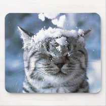 Tiger cat with snow dropping on his head mouse pad