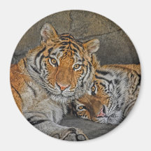 Tiger Cave Magnet