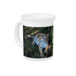 Tiger-China-Doll-b-5 Beverage Pitcher