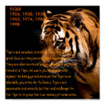 Tiger Chinese Zodiac