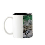 Tiger Coffee Cup mugs
