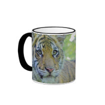 Tiger Cub Close Up Portrait Mugs