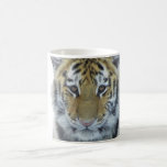 Tiger Cub In Snow Close Up Portrait Coffee Mug