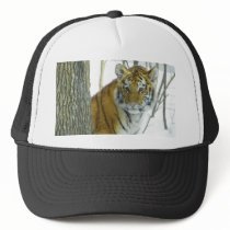Tiger Cub In Snow Peeking Around Tree Hat
