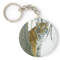 Tiger Cub In Snow Peeking Around Tree Key Chain