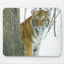 Tiger Cub In Snow Peeking Around Tree Mouse Pads