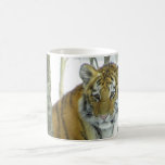 Tiger Cub In Snow Peeking Around Tree Mugs