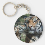 Tiger cub keychains