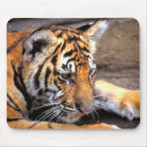 Tiger Cub Mousepad