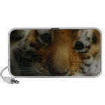 Tiger Cub Mp3 Speaker