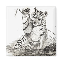 Tiger cub playing magnet by kmullarney Tiger cub playing magnet
