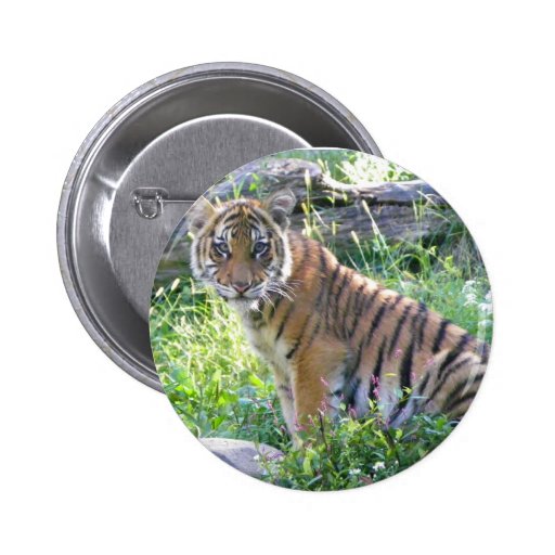 Tiger Cub Portrait 2 Pins