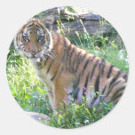 Tiger Cub Portrait 2 Round Sticker