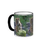 Tiger Cub Portrait Coffee Mugs
