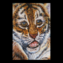 tiger cub portraite posters
