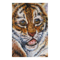 tiger cub portraite posters by dean51 tiger cub portraite posters