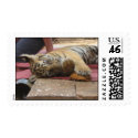 tiger cub postage