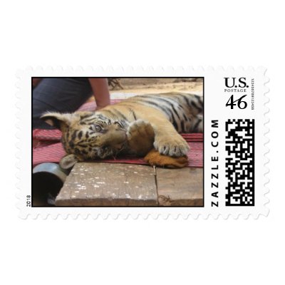 tiger cub postage by Kisersoze