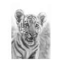 tiger cub posters