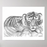 Tiger Cub Poster