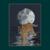 Tiger Cub Wild-Cat Full Moon Fantasy Postcard postcards