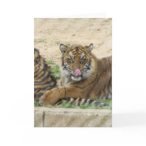 Tiger Cubs Greeting Card