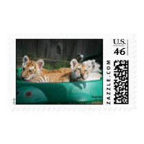 Tiger Cubs postage