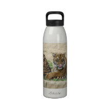 Tiger Cubs Water Bottle