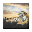 Tiger Dawn magnets by Memory_Lane Tiger Dawn magnets