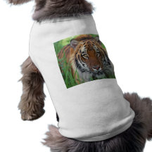 Tiger Dog T Shirt
