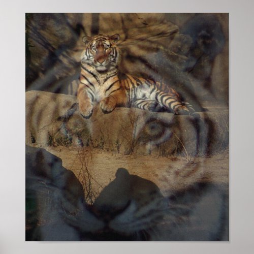 Tiger Doubletake print