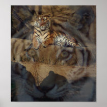 Tiger Doubletake Poster