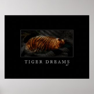 Tiger Dreams Poster