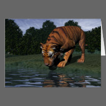 Tiger Drinking cards