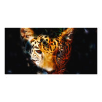 Tiger emerging custom photo card