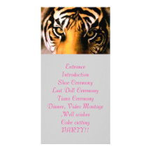 tiger eye program photo cards