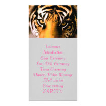 tiger eye program photo cards by Woolfolk94 tiger eye program photo cards