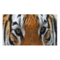 tiger eyes business cards by dawnmcininch tiger eyes business cards