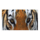 tiger eyes business card templates