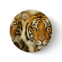Tiger Eyes Buttons