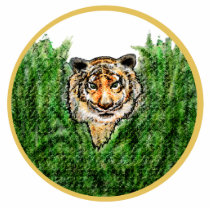 Tiger Eyes photo-sculpture key chain photo sculptures