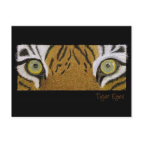 tiger eyes postcards