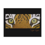 tiger eyes postcards