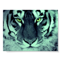 Tiger Eyes posters by elenaind Tiger Eyes posters