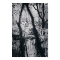 Tiger eyes posters