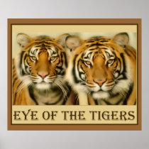 Tiger Eyes Print